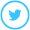 Twitter Logo